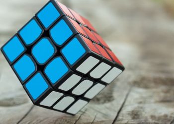 Dezvoltarea intelectului copilului