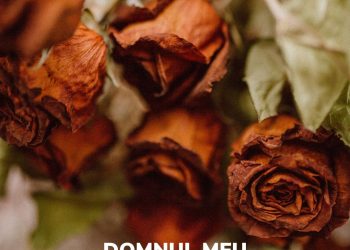 povestiri pentru copii