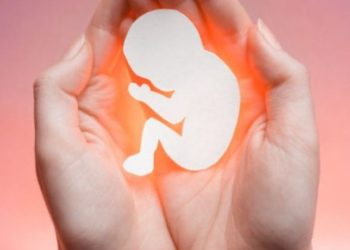 Care este perspectiva creștină asupra avortului Familia MELEAN