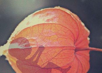 Ep 18 Avortul nuși are locul în familia creștină Familii de nota 10