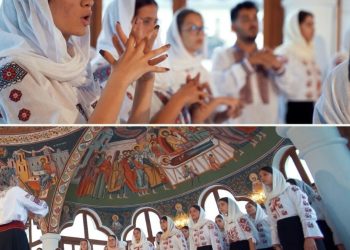 Noi n-avem aur - priceasna