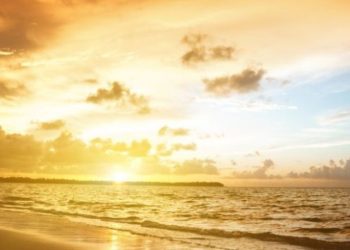 Nelu Beg - Minune și taină