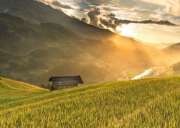 Nelu Beg Ziua de lucru a lui Traian Dorz