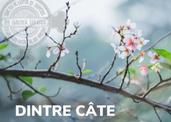 Dintre cate sunt pe lume