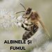 13. Albinele și fumul