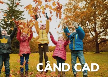 Cand cad frunzele - Poveste audio pentru copii