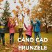 Cand cad frunzele - Poveste audio pentru copii