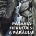 81. Pățania fierului și a pârâului