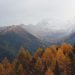 0519. Suflet frământat (poezie)